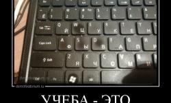 Учеба это святое