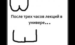 Учение свет