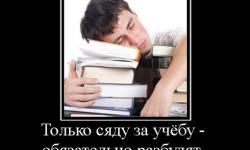 Только сяду за учебу
