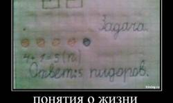 Понятия о жизни