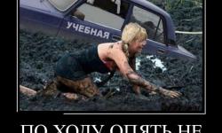 Не сдала