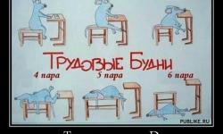 Трудовые будни