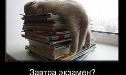 Завтра экзамен