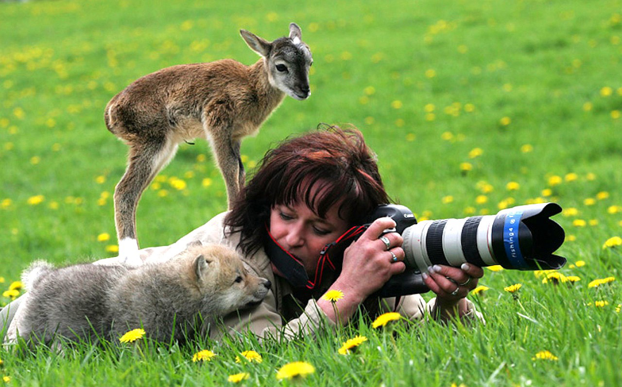 Как фотографировать животных